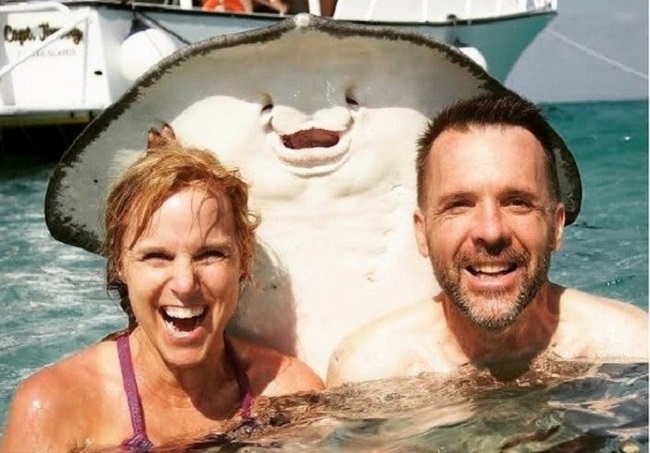 funniest travel photos