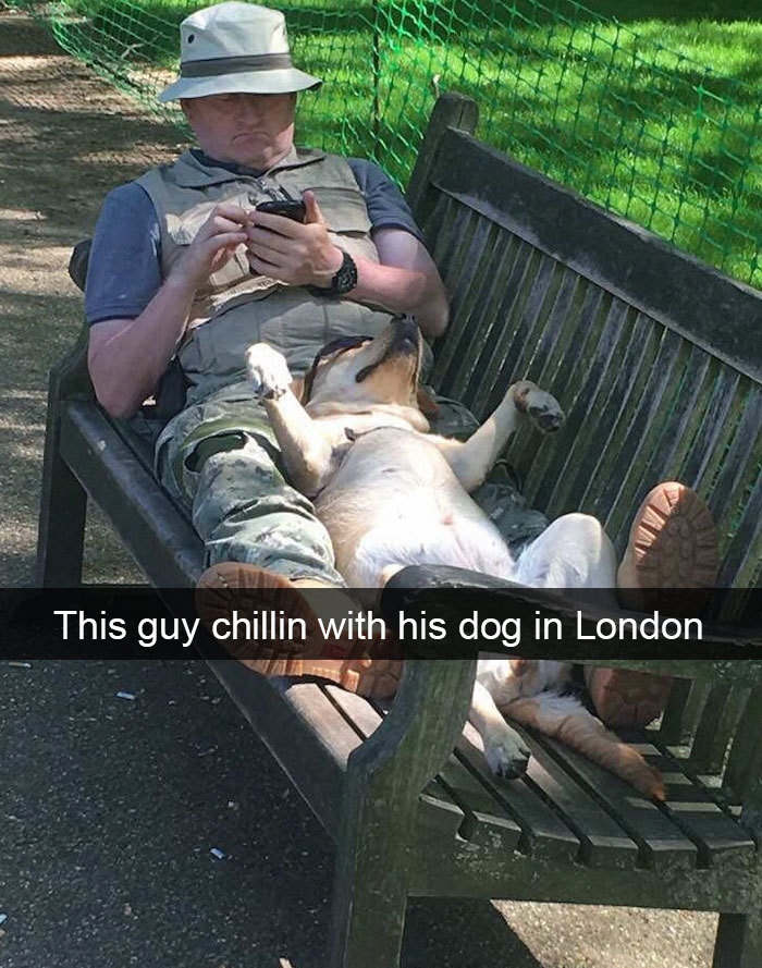 Funny Snapchat dog moments