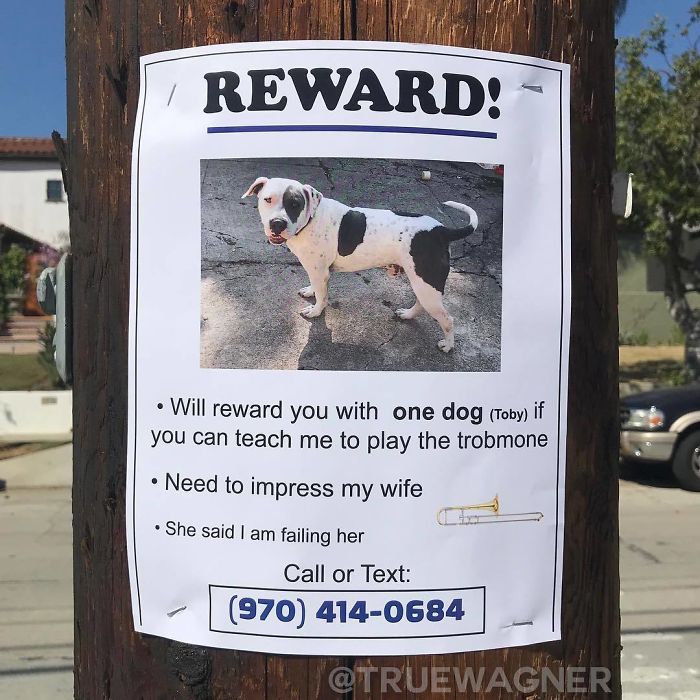 Trolling hilarious ads
