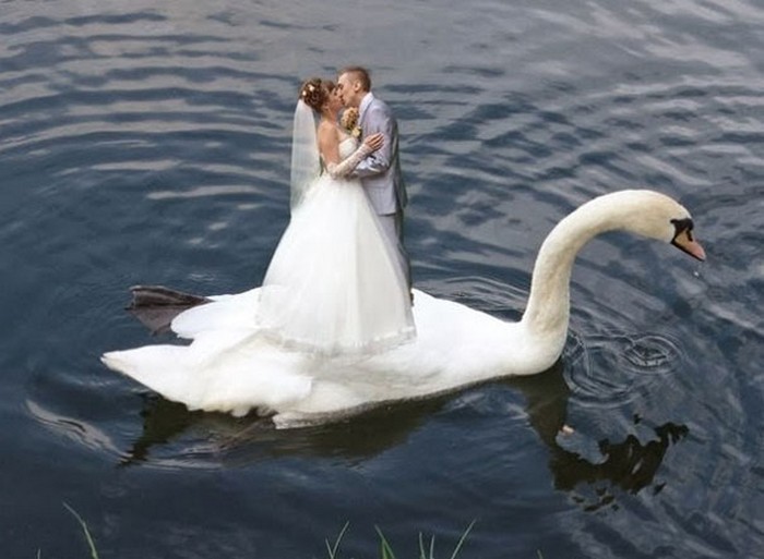 30 Funniest and Weirdest Russian Wedding Photos