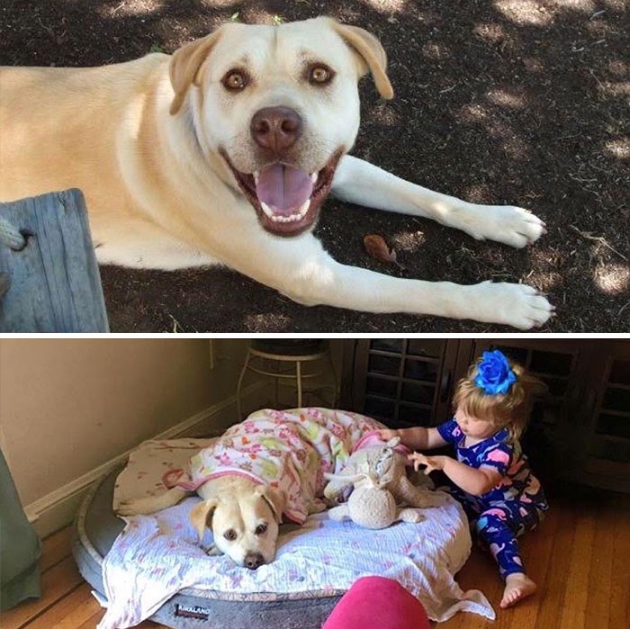 photos of parents before and after having kids