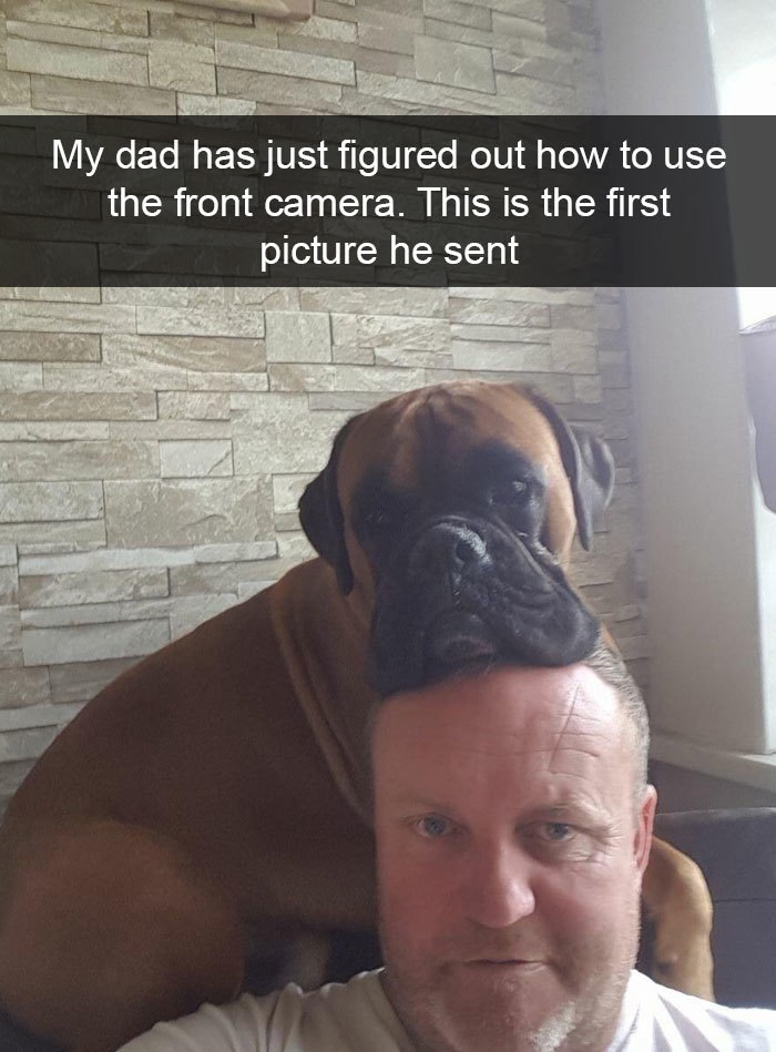 Funny Snapchat dog moments