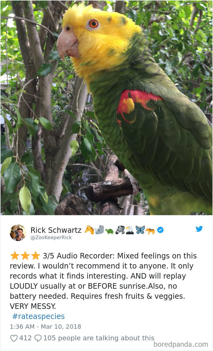 a parrot